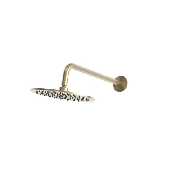 Kit doccia parete con braccio e soffione oro acciaio inox 316L