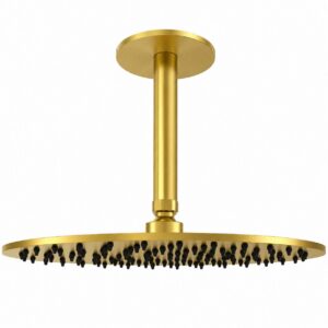 Kit braccio soffione doccia a soffitto 30 cm oro acciaio inox 316L